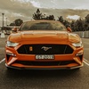 Profile Picture of Darcy Scott (@@darc.eth) on Tiktok