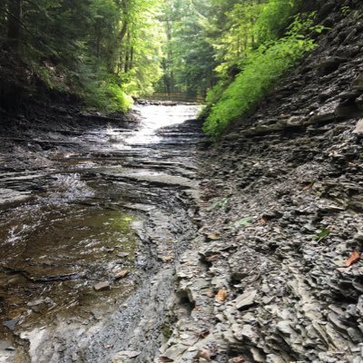 Profile Picture of Sean Finnerty (@SeanFinnerty13) on Twitter
