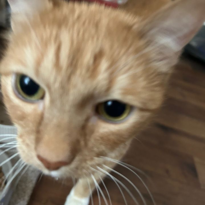 Profile Picture of Benjamesarmijo (@benjsmeade) on Tiktok
