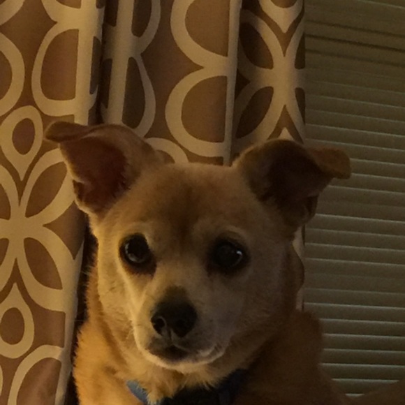 Profile Picture of Terry Dunagan (@lyricsnana) on Poshmark