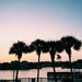 Profile Picture of Jessalyn Robertson (@jessalynrobertson) on Pinterest