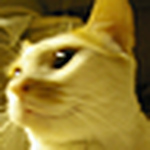 Profile Picture of Ho Lun Cheng (@marscheng2002) on Flickr