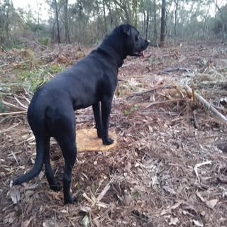 Profile Picture of Frank Omick (@frankomick) on Instagram