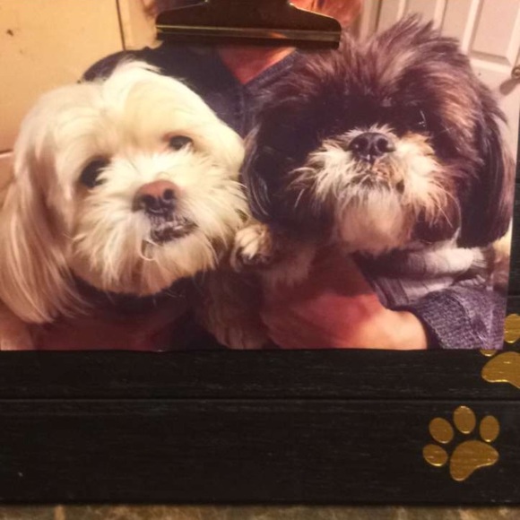 Profile Picture of Erin Mcgrath (@erinmcg2425) on Poshmark