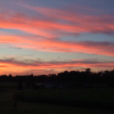 Profile Picture of Robin Blackwell (@__r_o_b_i_n__) on Twitter