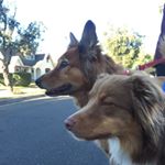 Profile Picture of Ginger Thornton (@ginger_vann) on Instagram