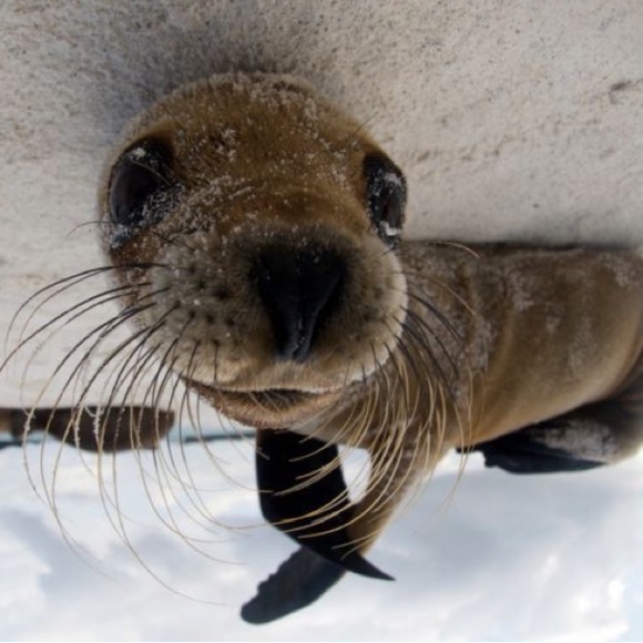 Profile Picture of Kylie Neidel (@kylieneidel) on Poshmark