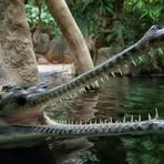 Profile Picture of Wana Angker (@wana.angker) on Facebook