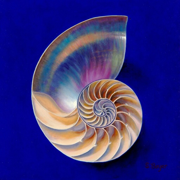 Profile Picture of Stephanie Boyer (@artgirl17) on Poshmark