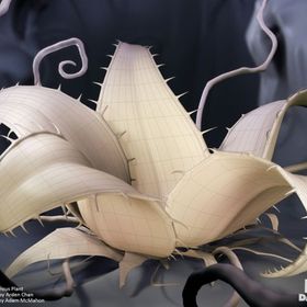 Profile Picture of Brandon Richards (@islandfoodie) on Pinterest