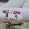 Profile Picture of Dr Ruby (@@rubybagley2) on Tiktok