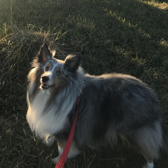 Profile Picture of Brianne Gates (@bagates2) on Poshmark