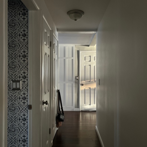 Profile Picture of Timmy Leopard (@timmyleopard) on Poshmark