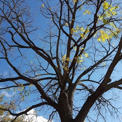 Profile Picture of David McKay (@David_S_McKay) on Twitter