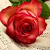 Profile Picture of Tejaswini Joshi (@tejaswini.joshi.946) on Facebook
