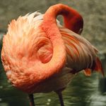 Profile Picture of Robert Meyer (@robertmeyer_photography) on Instagram