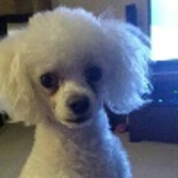 Profile Picture of Leah Saylor (@kareem41) on Poshmark