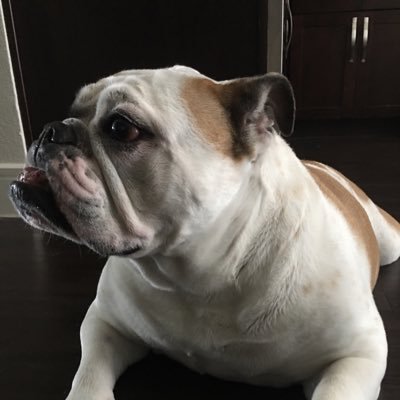 Profile Picture of HourBehindP1 (@JasonGattis) on Twitter