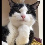 Profile Picture of Catherine Brando (@catherine_brando) on Instagram