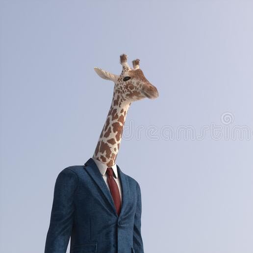 Profile Picture of Trevor Bradshaw (@trevorbradshaw111) on Tiktok