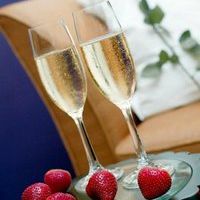 Profile Picture of Paula Breeze (@pbreeze) on Pinterest