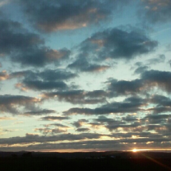 Profile Picture of Cindy Madrigal (@cyn0309) on Poshmark