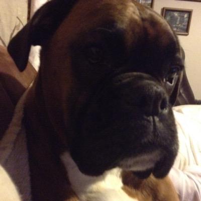 Profile Picture of Peter J.M.Roberts (@pjmr_kernow) on Twitter