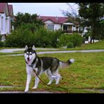 Profile Picture of Duri (@crystal_duri0404) on Instagram