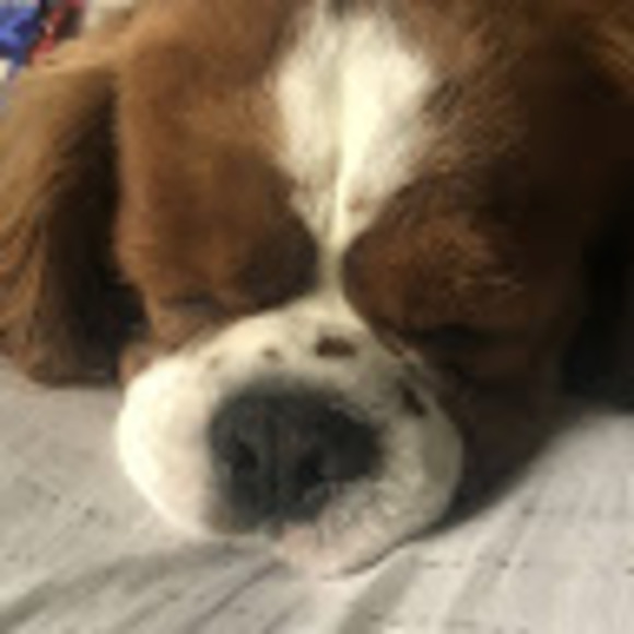 Profile Picture of Jayden Yeary (@jaydenyeary) on Poshmark