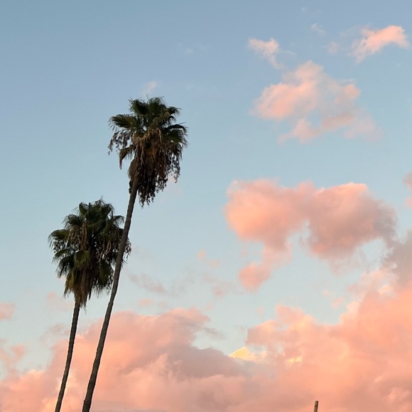 Profile Picture of Uliana Kolysnichenko (@ulianakoly) on Poshmark