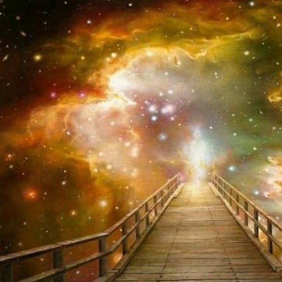 Profile Picture of Kenneth Edelen (@bamaedelen) on Poshmark