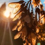 Profile Picture of Jenna Kate McAuliffe (@jenna.mcauliffe) on Instagram