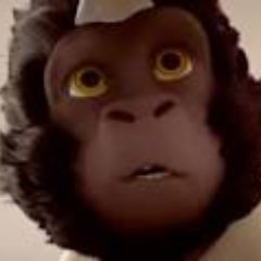 Profile Picture of Adrian Preda (@choruss43) on Twitter