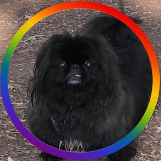 Profile Picture of Joanne Oakley Peterson (@joanne.o.peterson.3) on Facebook