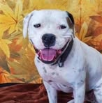 Profile Picture of Kenneth Krase (@kenneth.krase.3) on Facebook