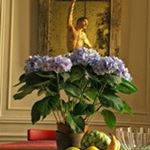 Matthieu Jungfer - Instagram Profile Picture of Matthieu Jungfer (@matt__jung) on Instagram