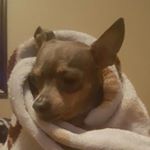 Profile Picture of Cassandra Acevedo (@cassy_avocado) on Instagram