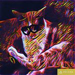 Thomas Hayman - Instagram Profile Picture of Thomas Hayman (@tom__006) on Instagram