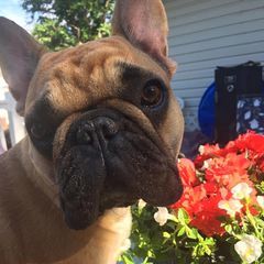 Profile Picture of Phyllis Armour909 (@phyllisarmour909) on Tiktok