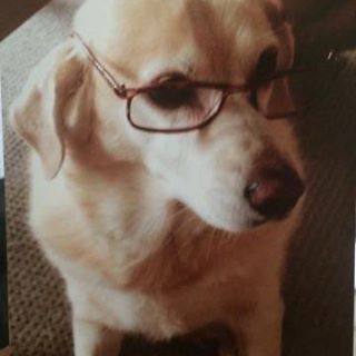 Profile Picture of Kathy Englert (@Kathy-Englert) on Facebook