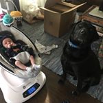 Profile Picture of Megan Clay (@gusandgills) on Instagram