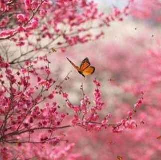 Profile Picture of A L Patel (@al.patel.3745) on Facebook