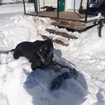 Profile Picture of Adam Bolduc (@adam.bolduc.12) on Instagram