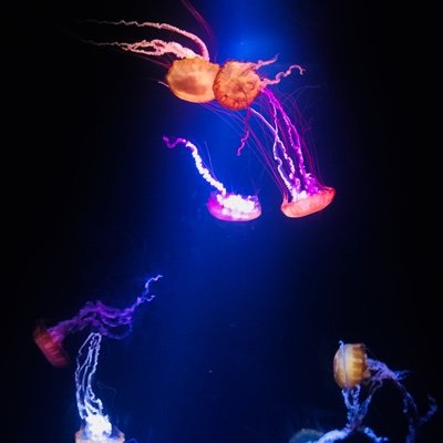 Casey - Twitter Profile Picture of Casey (@CaseyHodgson06) on Twitter