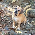Profile Picture of Jodi Witmer (@jlw_courage) on Instagram