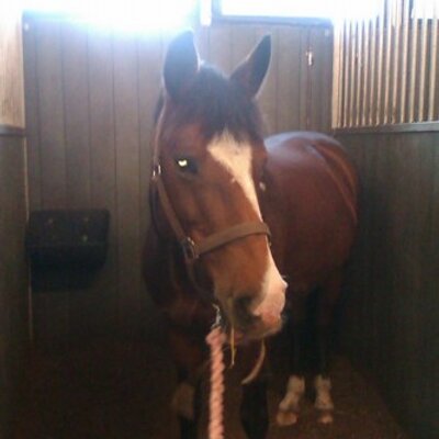 Profile Picture of Julia Rosengren (@Julialovecindy) on Twitter