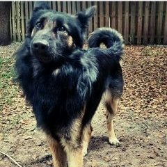 Profile Picture of Antwon Jenkins (@antwon927) on Twitter