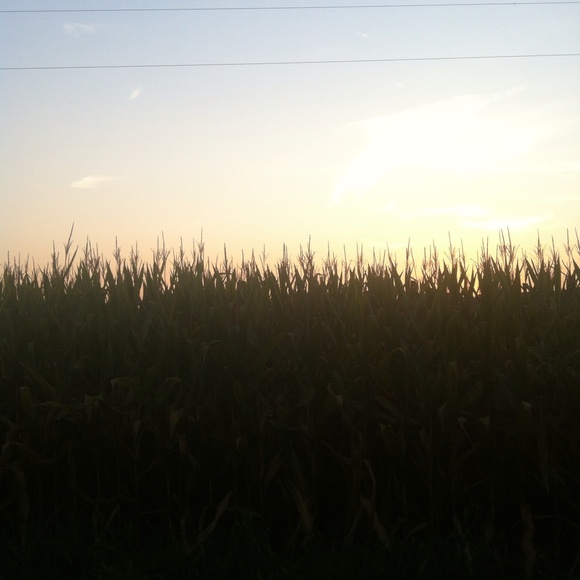 Profile Picture of Olivia Karll (@oliviakarll) on Poshmark