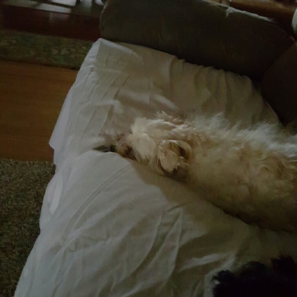 Profile Picture of Rita Bailey (@baileyrita) on Poshmark