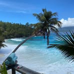 Profile Picture of Daniela Hirschmann (@daniela.hirschmann) on Facebook